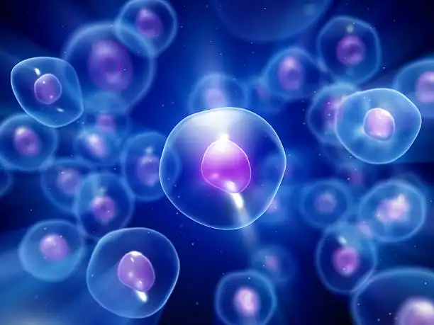 Healthy cells shown in a detailed biological visualization representing normal cellular function