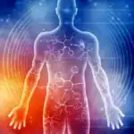 Platelet-Rich Plasma (PRP) therapy process using a patient’s blood for healing and regeneration