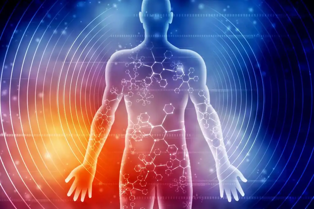 Platelet-Rich Plasma (PRP) therapy process using a patient’s blood for healing and regeneration